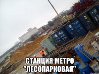  станция метро "лесопарковая"