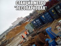 станция метро "лесопарковая" 