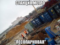станция метро "лесопарковая"