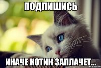 Подпишись иначе котик заплачет...