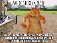 а помните как мы хотели себе завести такого кота, чтобы с ним можно было попиздить и он составил тебе компанию в трудной ситуации.