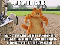 а помните как мы хотели себе завести такого кота, чтобы с ним можно было попиздить и похвастаться перед друзьями.