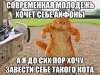 современная молодежь хочет себе айфоны а я до сих пор хочу завести себе такого кота.