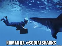  Команда #SocialSharks