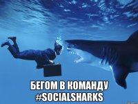  Бегом в Команду #SocialSharks