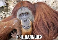  и че дальше?
