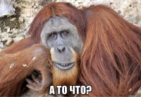  а то что?