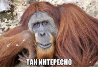  так интересно