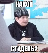 какой студень?