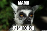 мама узбагойся
