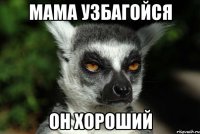 мама узбагойся он хороший