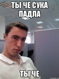 Ты че сука падла Ты че