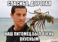 спасибо, дорогая наш питомец был очень вкусным