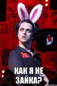  как я не зайка?