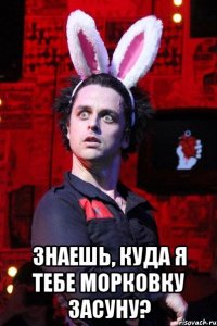  знаешь, куда я тебе морковку засуну?