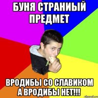 Буня страниый предмет Вродибы со Славиком а вродибы нет!!!