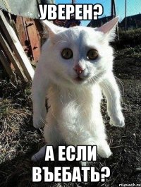 уверен? а если въебать?