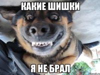 Какие шишки я не брал