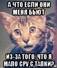 а что если они меня бьют из-за того, что я мало сру с тапки?