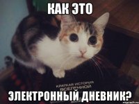 как это электронный дневник?