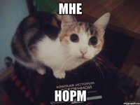 МНе Норм