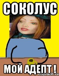 соколус мой адепт !