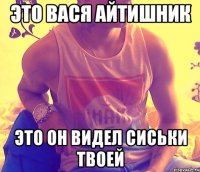 это вася айтишник это он видел сиськи твоей
