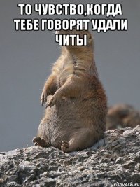 То чувство,когда тебе говорят удали читы 
