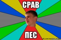 срав пес