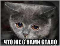 что же с нами стало