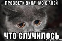 просвети вика нас с аней что случилось