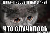вика , просвети нас с аней что случилось