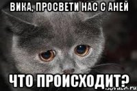 вика, просвети нас с аней что происходит?
