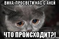 вика, просвети нас с аней что происходит?!