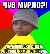 чув мурло?! да мої носки стоять дороже, чим твоя жизнь