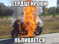 сердце кровю обливается