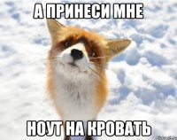 а принеси мне ноут на кровать