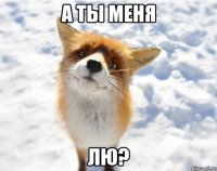 а ты меня лю?