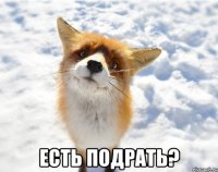  есть подрать?