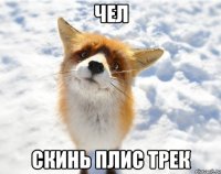 чел скинь плис трек