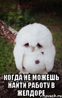  когда не можешь найти работу в желдоре
