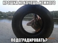 крошка не хочешь немного подеградировать?