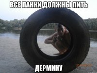 все панки должны пить дермину