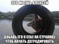 это мышь алексей добавь его к себе на страницу чтоб начать деградировать