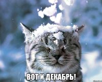  вот и декабрь!