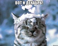 вот и декабрь! 