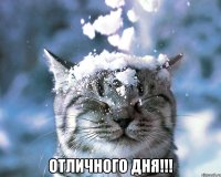  ОТЛИЧНОГО ДНЯ!!!