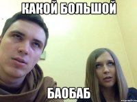 какой большой баобаб