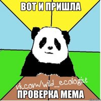 вот и пришла проверка мема