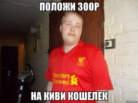 положи 300р на киви кошелек